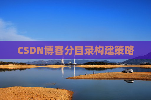 CSDN博客分目录构建策略